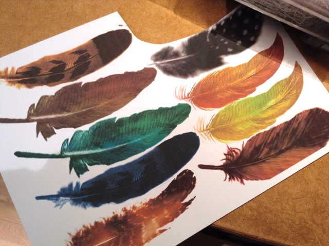 printable bird feathers