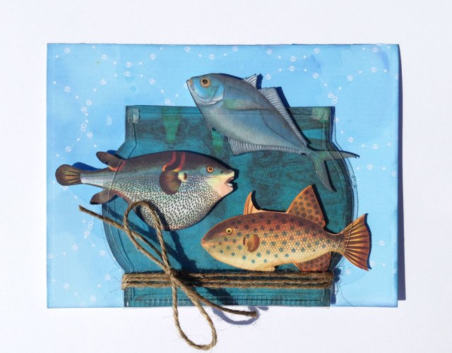 fishcards4
